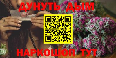 сатива Кингисепп