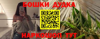 сатива Кингисепп