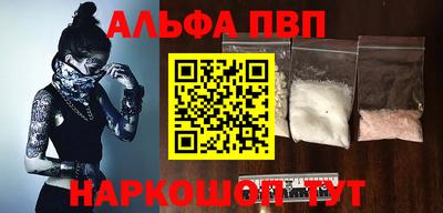 сатива Кингисепп