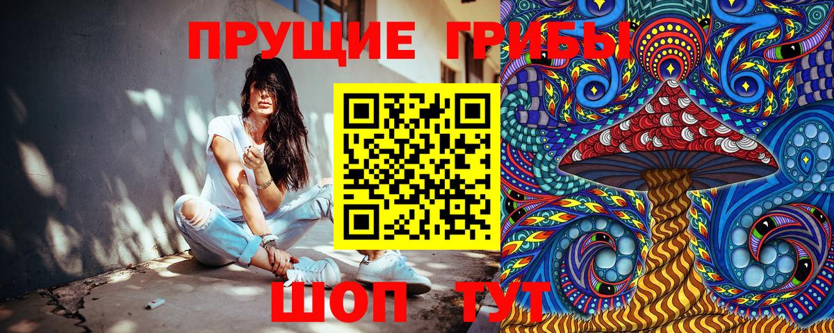 Псилоцибиновые грибы ЛСД  даркнет сайт  Вход с VPN  Элиста  Псилоцибиновые грибы MAGIC MUSHROOMS 